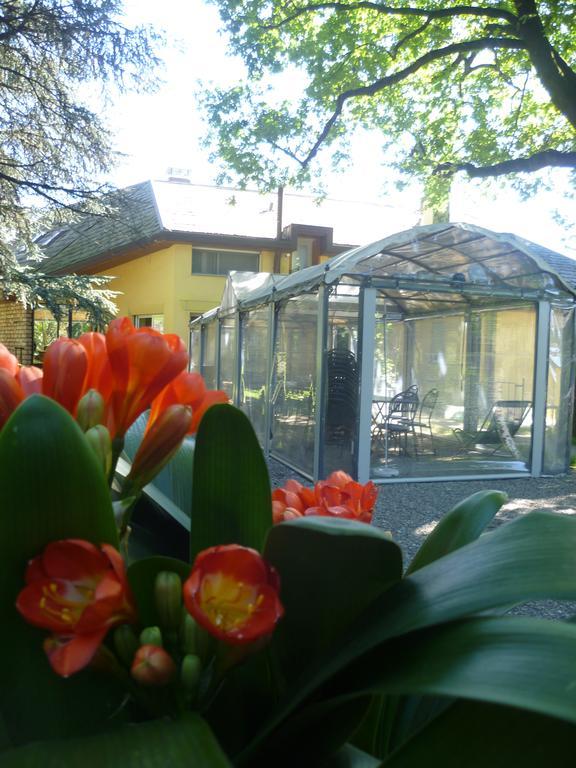Il Colombe B&B Barzanò Eksteriør bilde