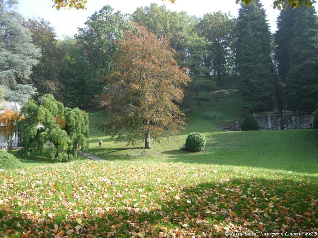 Il Colombe B&B Barzanò Eksteriør bilde